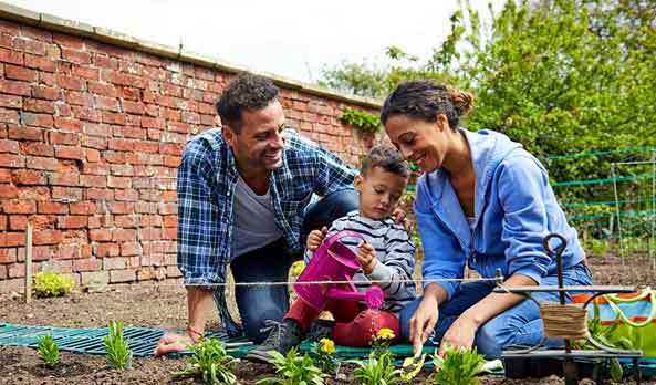 Family gardening